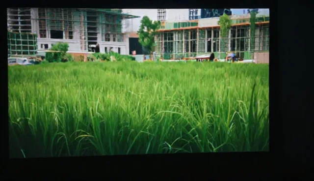 传播环节:视频剪辑与后期服务的分发效率分析